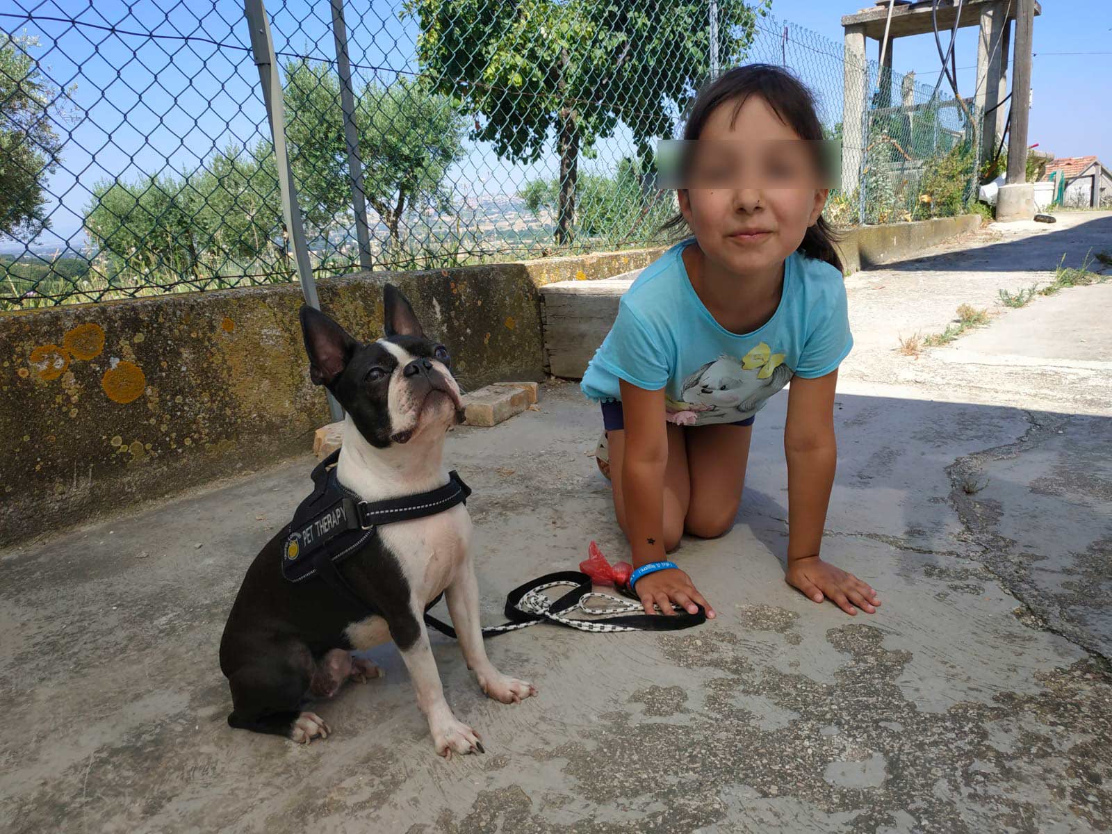 Laboratorio Pet Therapy
