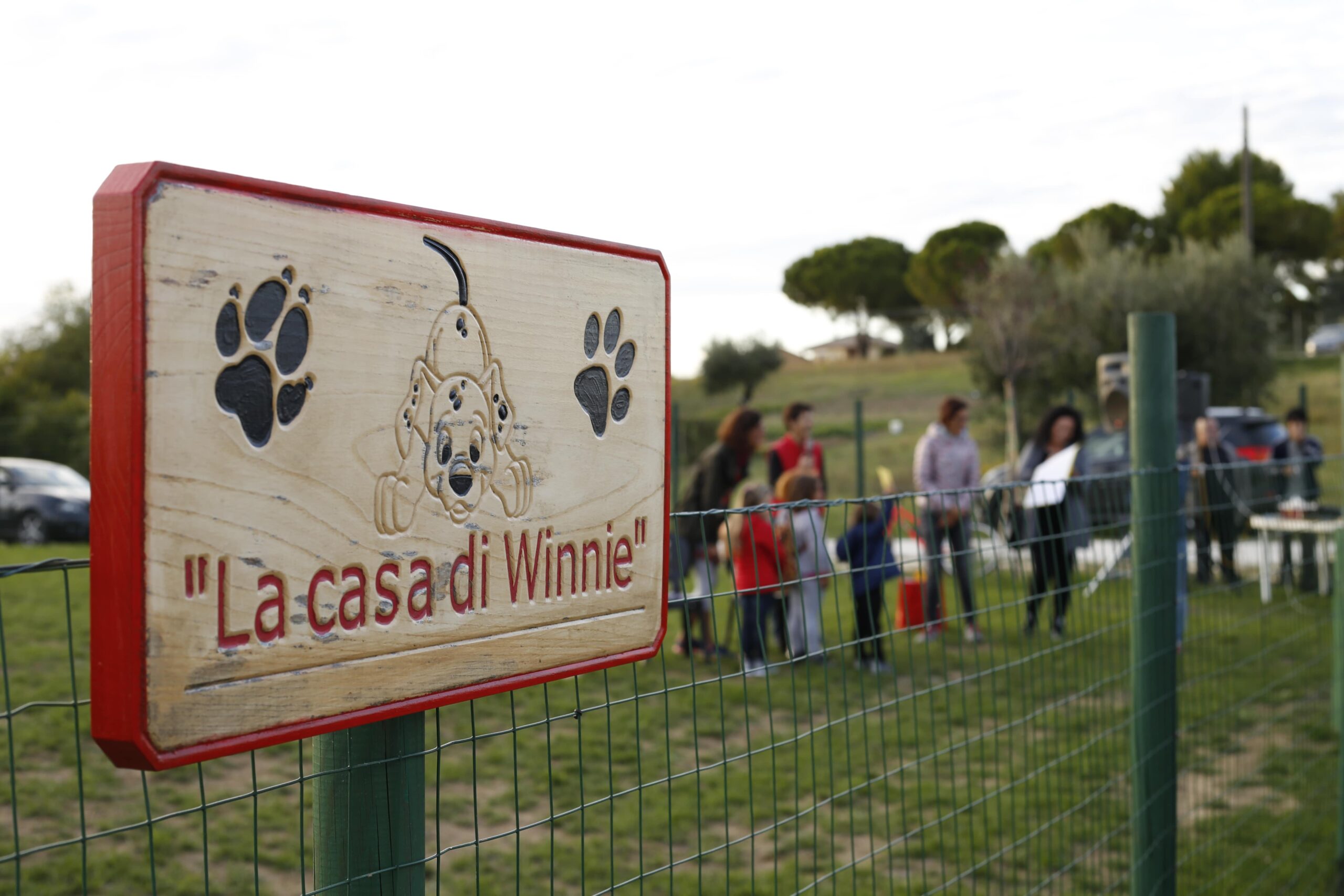 Cani e attività all'aperto - La Casa di Winnie